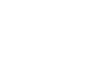 Premier Asset Services LLC